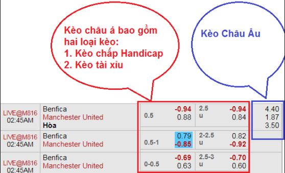 huong dan xem keo chau au trong ca cuoc bong da 188bet hinh anh 2