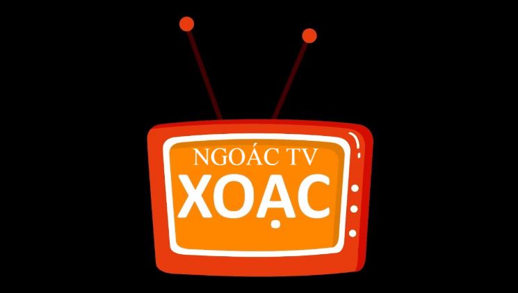 vatvo tv xoac tv hay ngoat tv hinh anh 1