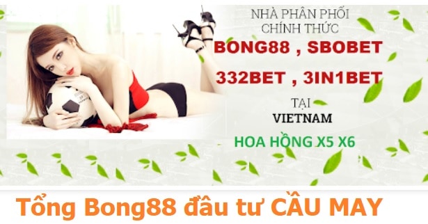 Giao mang banh bong88 o dau uy tin hinh anh 1