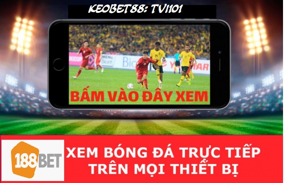 tv101 xem bong truc tiep hd tv101 hinh anh 1