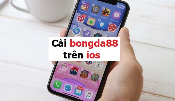 Cai dat bongda88 app nhu the nao hinh anh 2