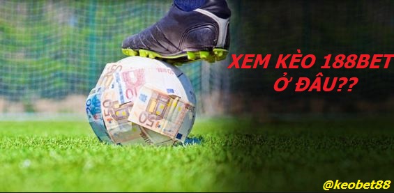 xem keo nha cai 188bet o dau hinh anh 1