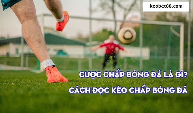 cách bắt kèo chấp Euro ra sao hinh anh 1