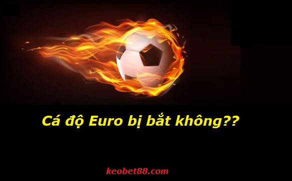 ca do euro co bi bat hay khong hinh anh 1