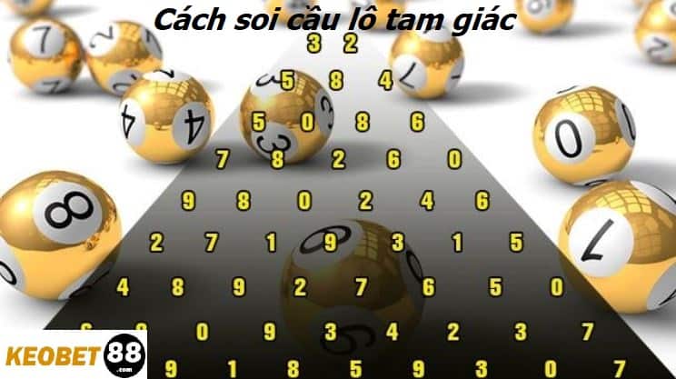 Soi cau lo tam giac la gi hinh anh 1