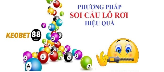 Soi cau lo roi la gi hinh anh 1 